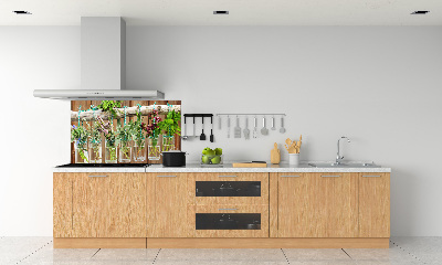 Panel do kuchyně Byliny v sklenicích