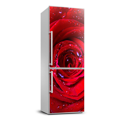 Nálepka fototapeta lednička Červená růže