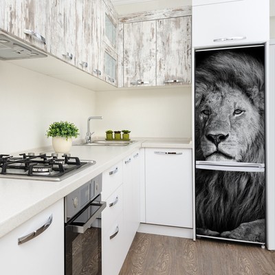 Foto nálepka na ledničku stěnu Portrét lva