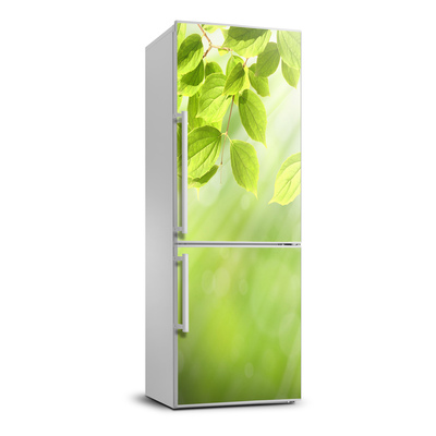 Nálepka tapeta na ledničku Zelené listí