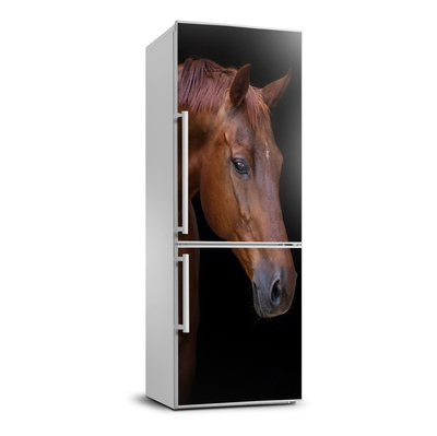 Nálepka fototapeta lednička Portrét koně