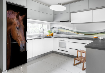 Nálepka fototapeta lednička Portrét koně