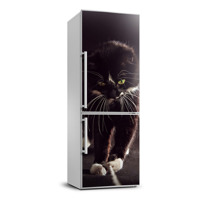 Foto nálepka na ledničku stěnu Černá kočka