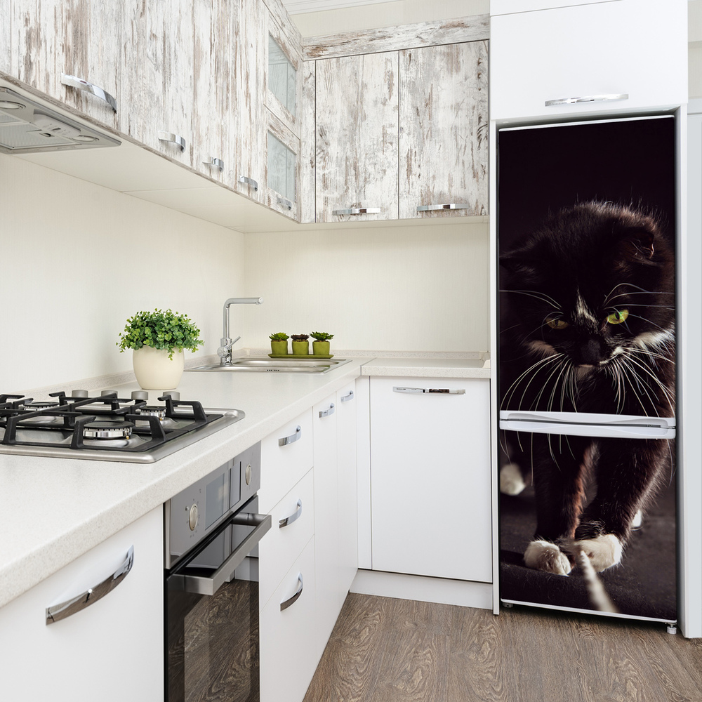 Foto nálepka na ledničku stěnu Černá kočka