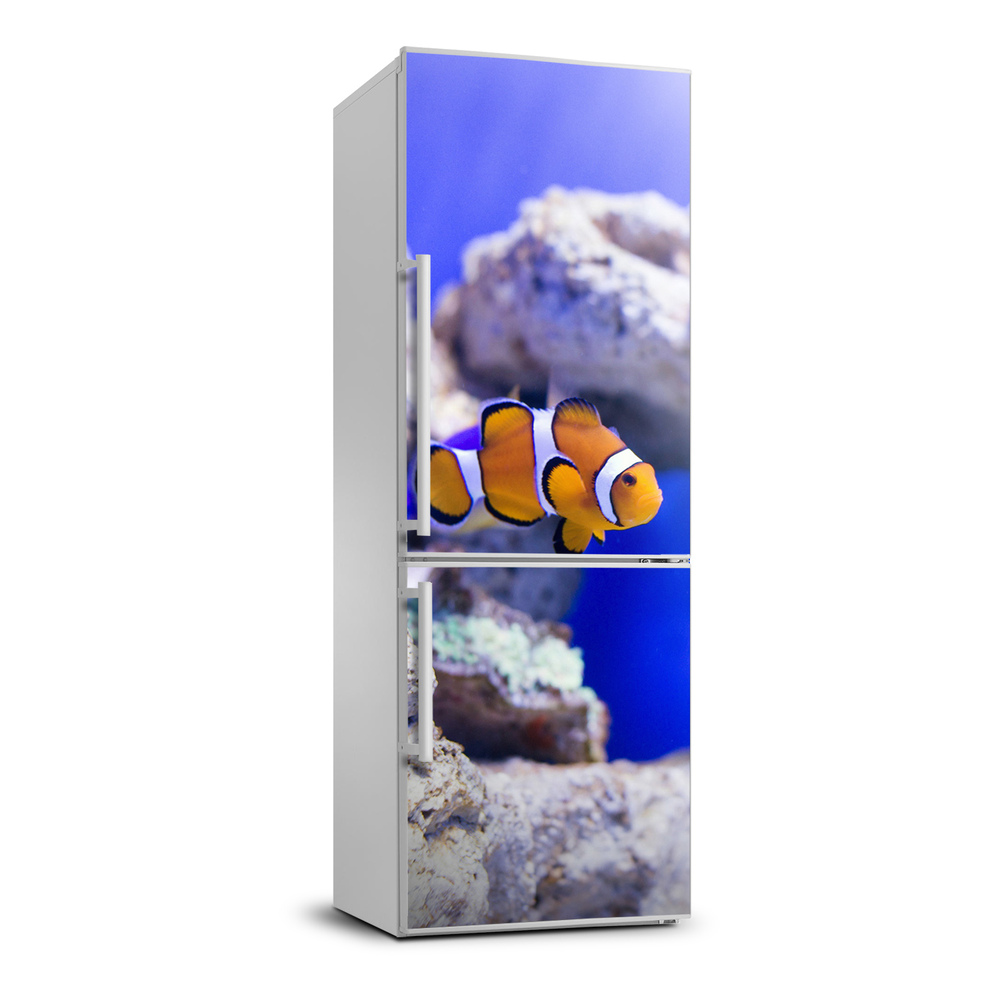 Nálepka fototapeta lednička Raba Nemo