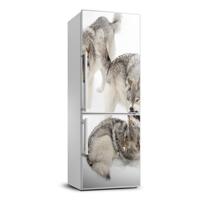 Foto tapeta na ledničku Šedí vlci