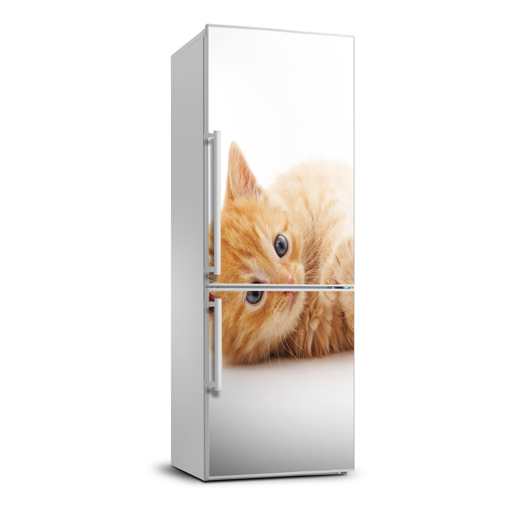 Nálepka fototapeta lednička Malá červená kočka