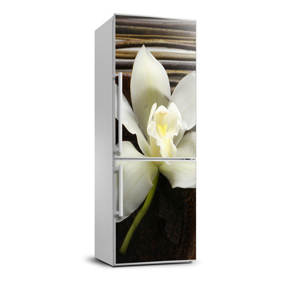 Fototapeta nálepka na ledničku Orchidej