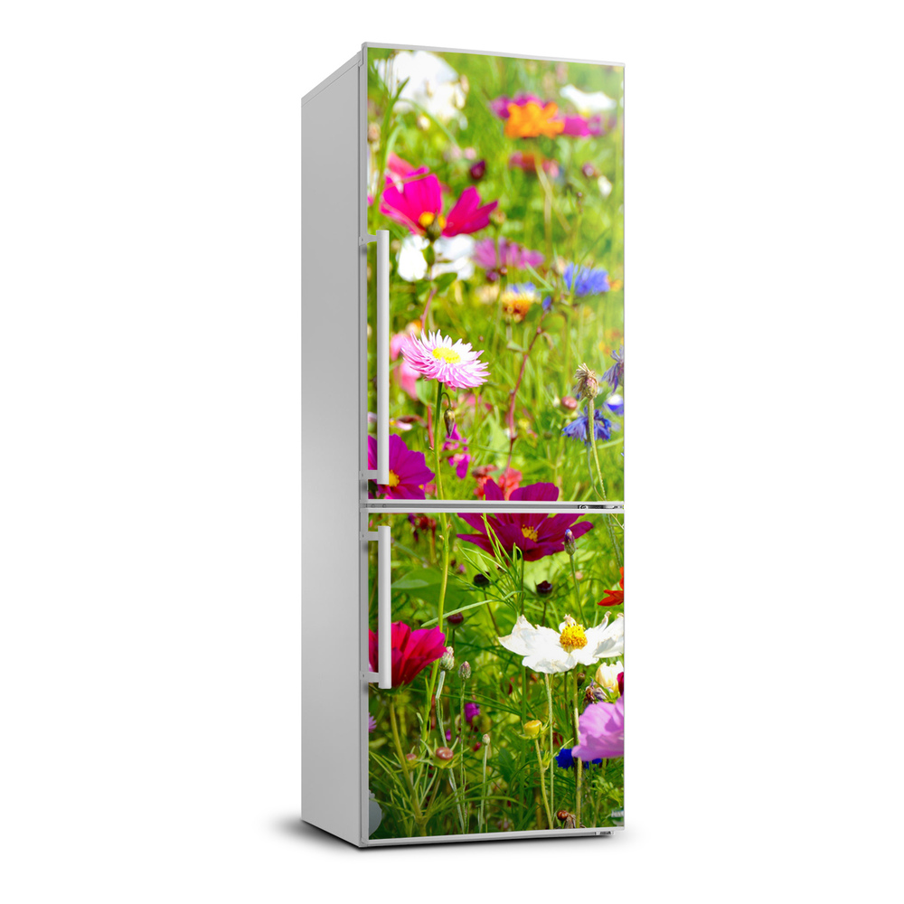 Foto tapeta na ledničku Polní květiny