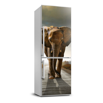 Nálepka fototapeta lednička Chodící slon XL
