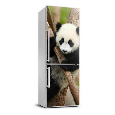 Nálepka fototapeta lednička Panda na stromě
