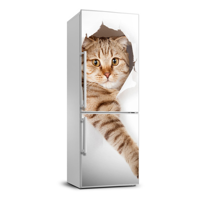 Samolepící nálepka na ledničku stěnu Kočka