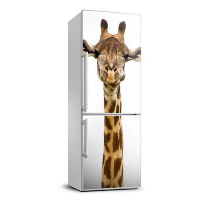 Nálepka fototapeta lednička Žirafa