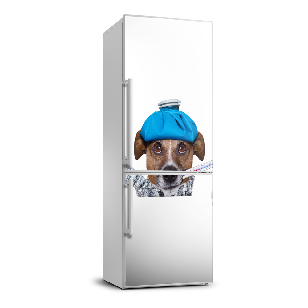 Foto nálepka na ledničku stěnu Nemocný pes