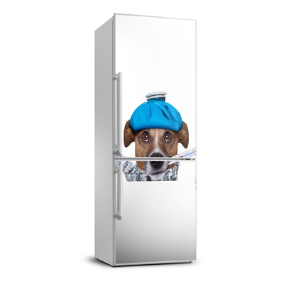 Foto nálepka na ledničku stěnu Nemocný pes