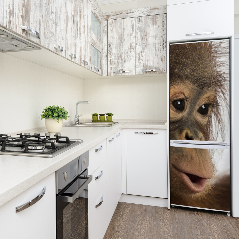 Nálepka fototapeta lednička Mladý orangutan
