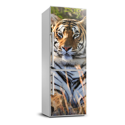 Nálepka fototapeta lednička Tygr