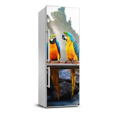 Foto nálepka na ledničku stěnu Papoušci Ara