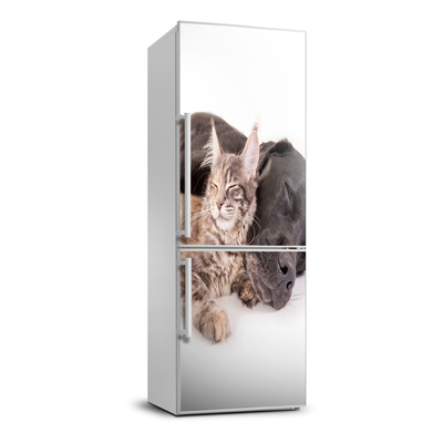 Foto nálepka na ledničku stěnu Pes a kočka