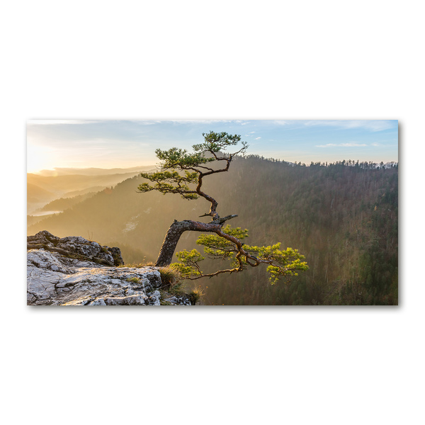 Sokolice Pieniny