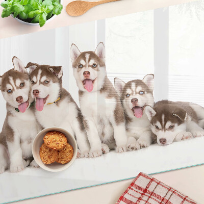 Skleněná deska do kuchyně Štěňata huskyho