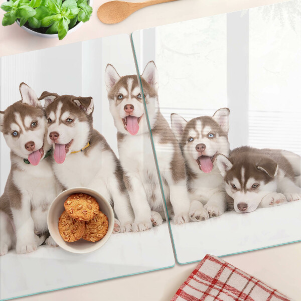 Skleněná deska do kuchyně Štěňata huskyho