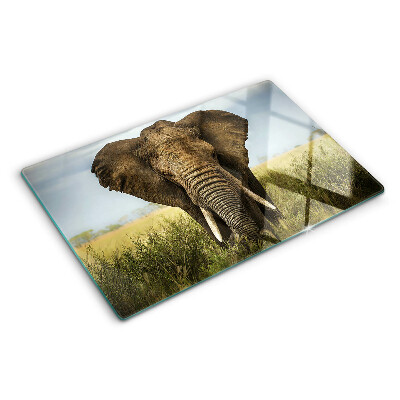 Krájecí prkénko skleněné Slon na pozadí africké savany