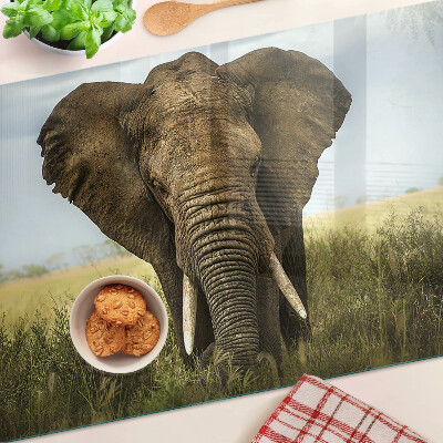 Krájecí prkénko skleněné Slon na pozadí africké savany