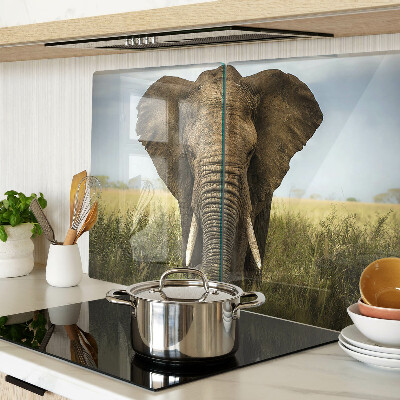Krájecí prkénko skleněné Slon na pozadí africké savany