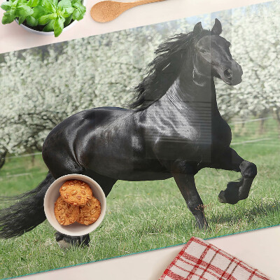 Skleněná deska do kuchyně Černý kůň na louce