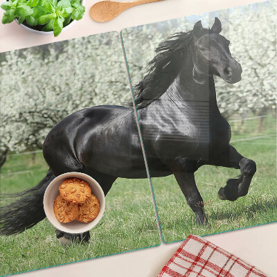 Skleněná deska do kuchyně Černý kůň na louce