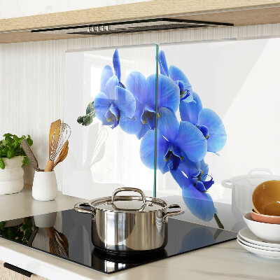Skleněná deska do kuchyně Modré orchideje