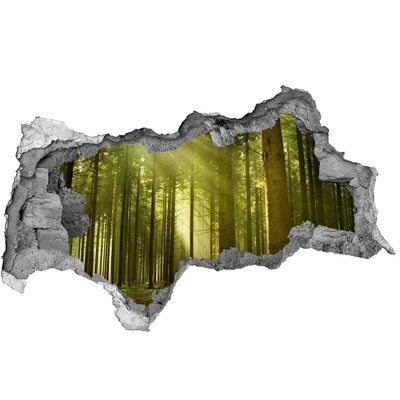 Samolepící nálepka beton Zelený les ráno