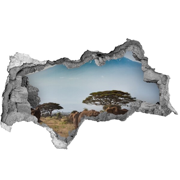 Díra 3D fototapeta Africká savana se slony
