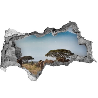 Díra 3D fototapeta Africká savana se slony