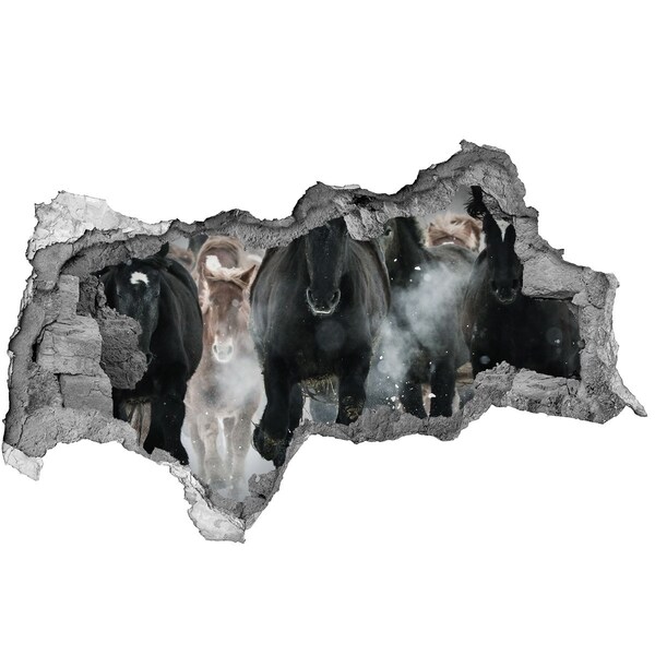 Fototapeta díra na zeď Koně cválající skrz zeď