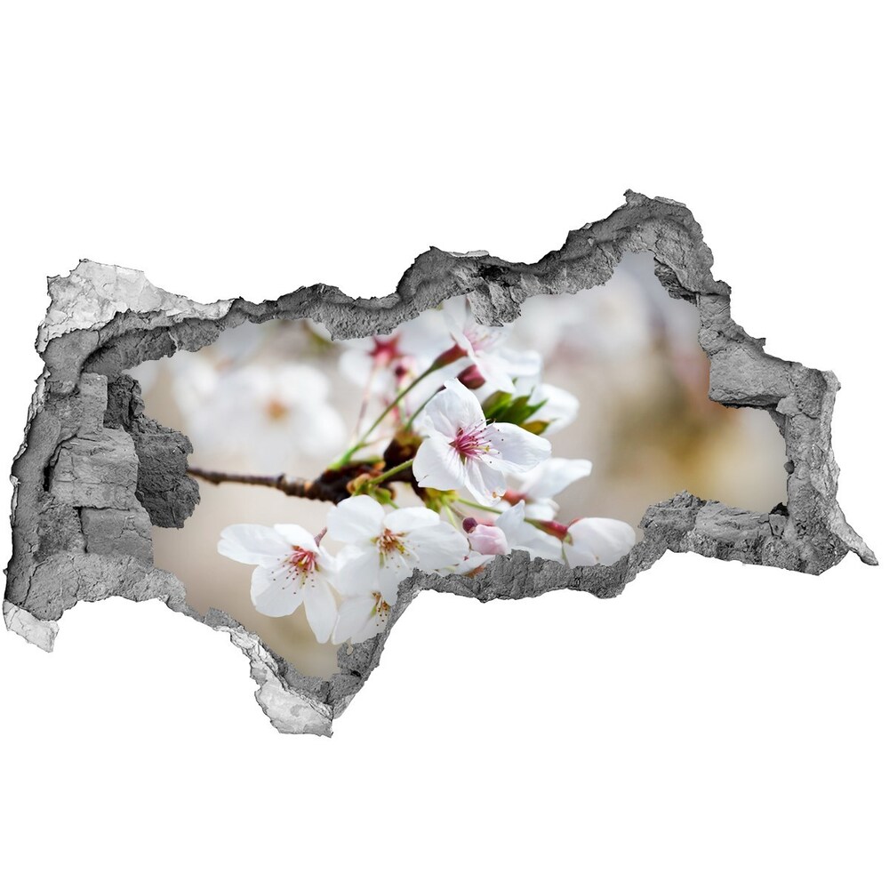 Samolepící nálepka na zeď Květy višně