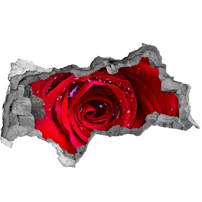 Samolepící nálepka na zeď Květ růží