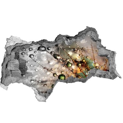 Samolepící nálepka na zeď Krystalová struktura ve světle