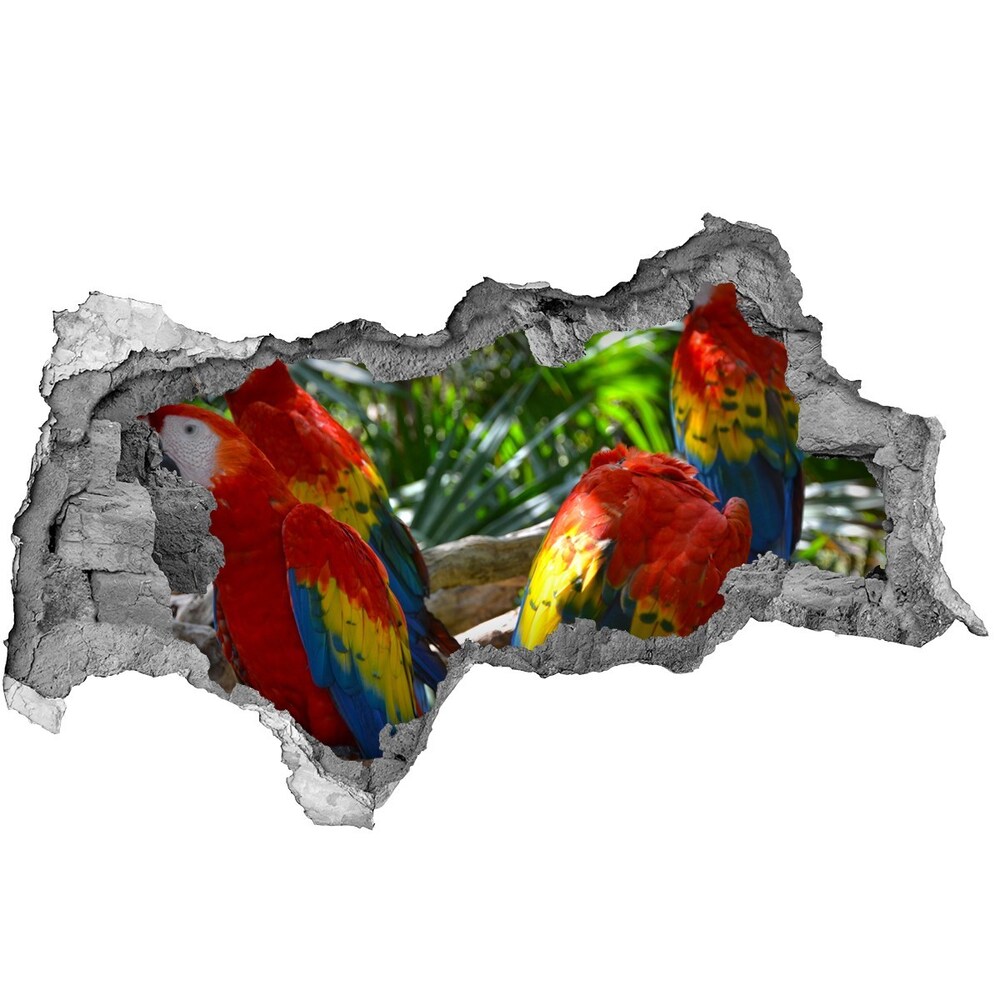 Díra 3D fototapeta nálepka Papoušek Ara