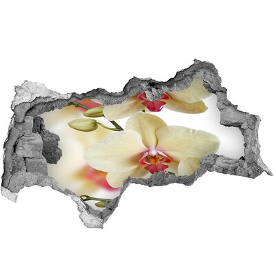 Fototapeta nálepka na zeď Orchideje v rozbité zdi