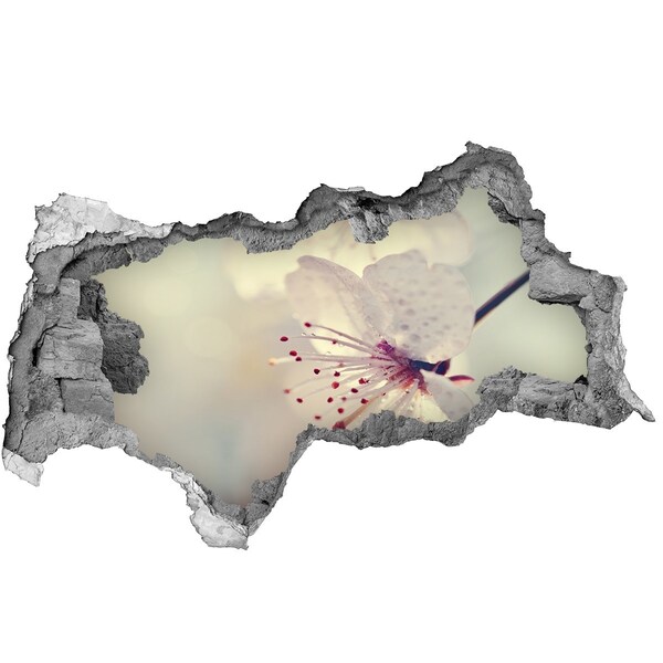 Samolepící nálepka na zeď Květinový sen za zdí