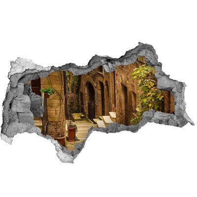 Fototapeta díra na zeď Okouzlující ulice ve městě