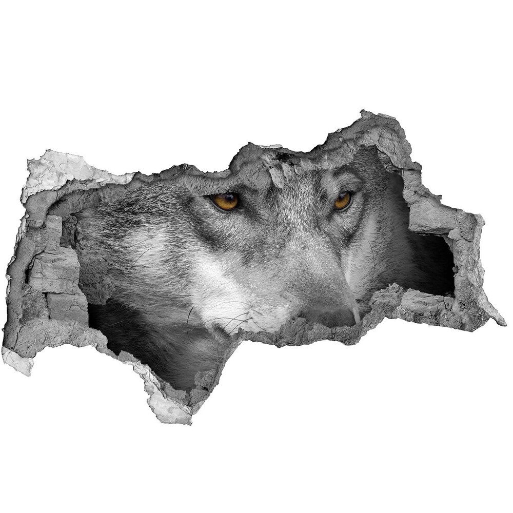 Díra 3D fototapeta na stěnu nálepka Vlk