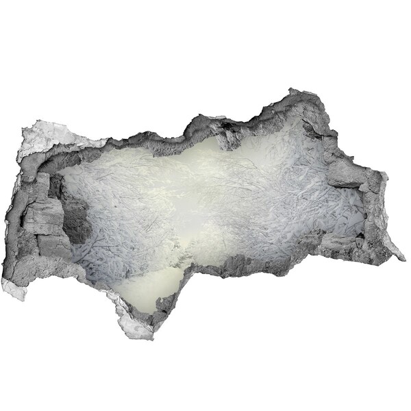 Samolepící nálepka Zimní krajina za zdí