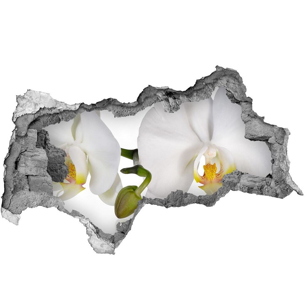 Samolepící nálepka fototapeta Orchidej