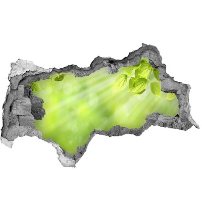 Samolepící nálepka fototapeta Zelený ráj za zdí