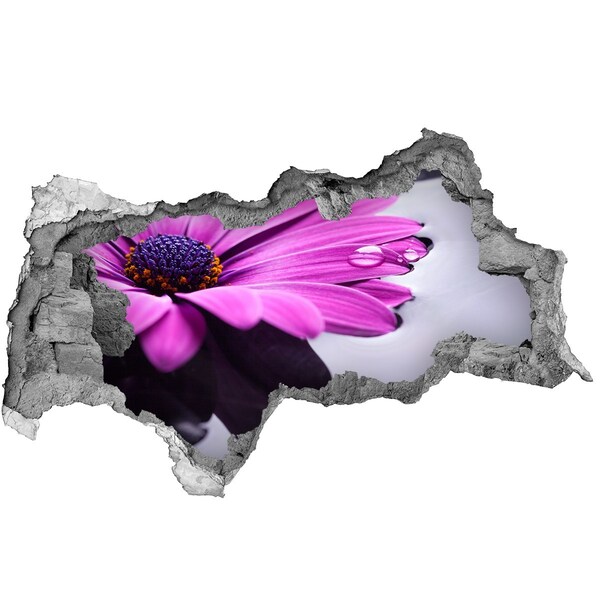 Samolepící nálepka fototapeta Květinová oáza za zdí