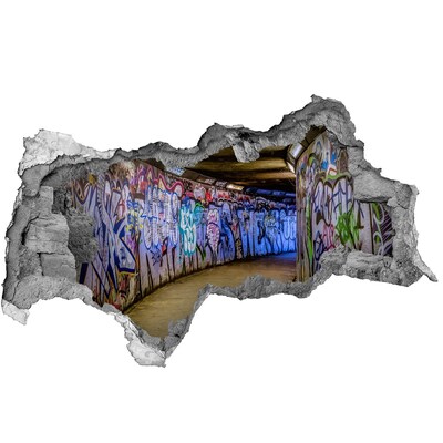 Fototapeta díra na zeď Graffiti v městském tunelu