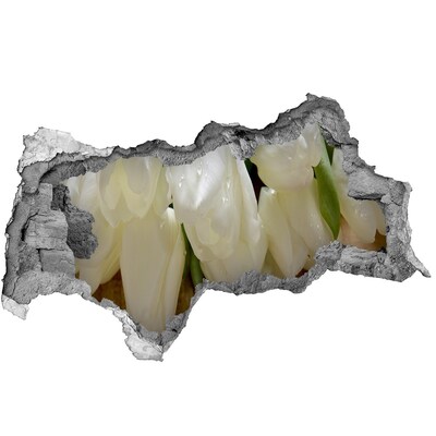 Samolepící nálepka fototapeta Bílé tulipány